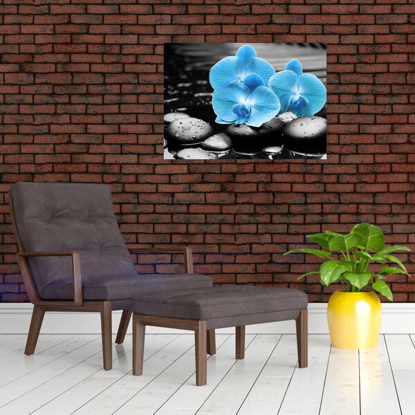Obraz - Modrá orchidej (70x50 cm)