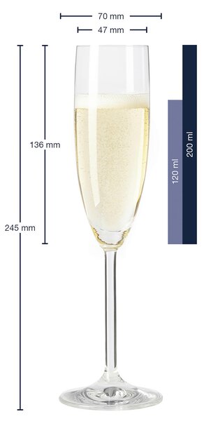 SKLENICE NA SEKT Leonardo