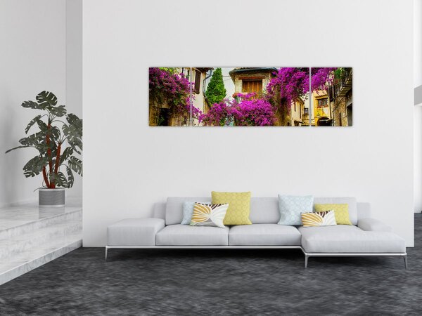 Obraz - Středomořská lení ulička (170x50 cm)