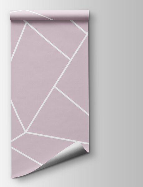Fototapeta Růžové a bílé pozadí, Abstraktní fototapety, Populární fototapety, w00827v5 - Tapeko.co.cz