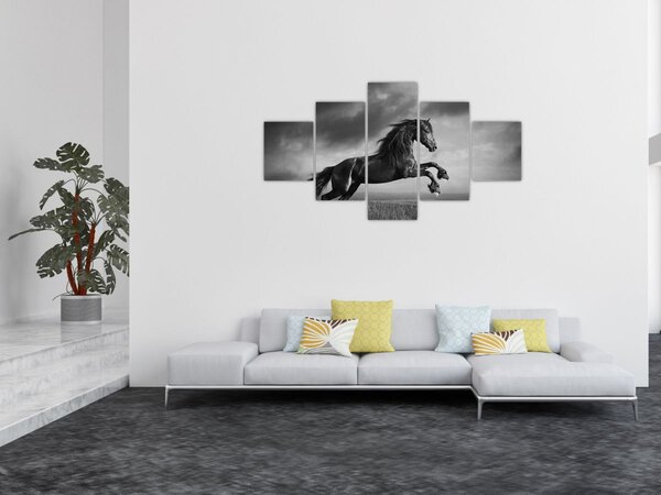 Obraz - Kůň černobílý (125x70 cm)