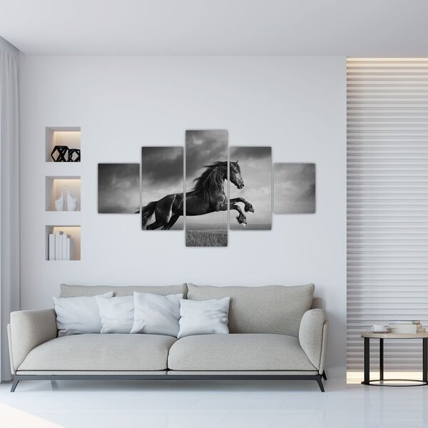 Obraz - Kůň černobílý (125x70 cm)