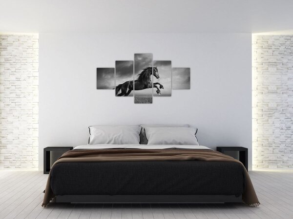 Obraz - Kůň černobílý (125x70 cm)