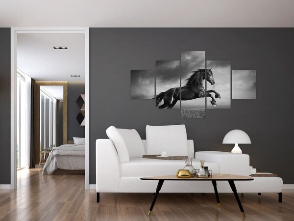 Obraz - Kůň černobílý (125x70 cm)