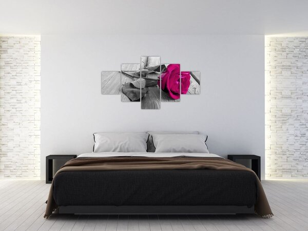 Obraz - Růžová růže (125x70 cm)