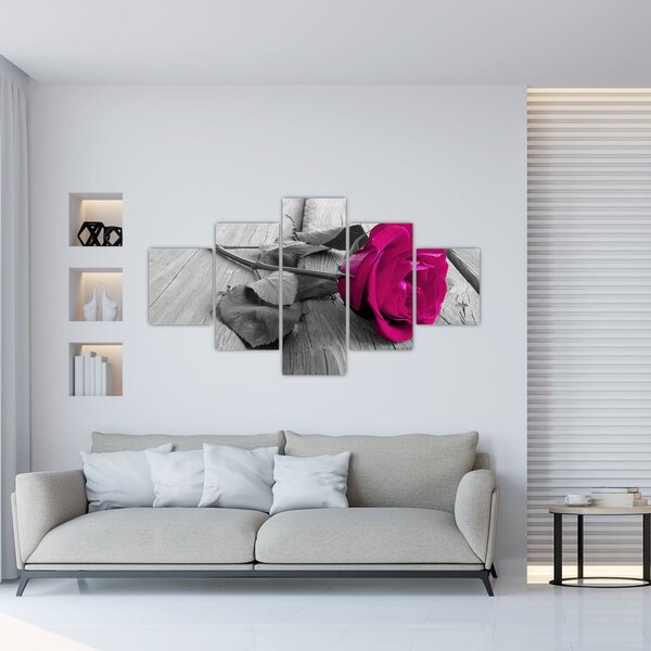 Obraz - Růžová růže (125x70 cm)