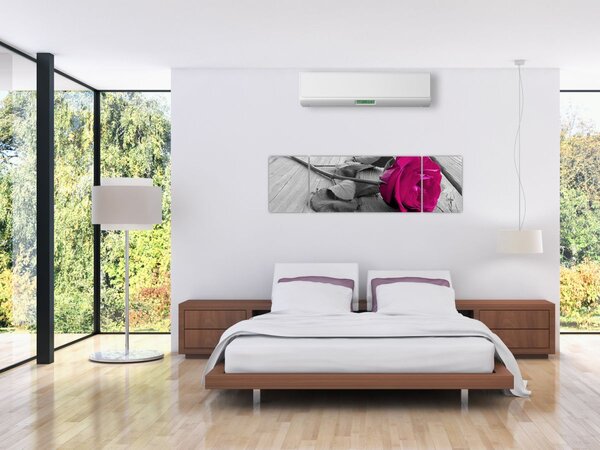 Obraz - Růžová růže (170x50 cm)