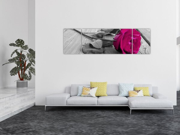 Obraz - Růžová růže (170x50 cm)