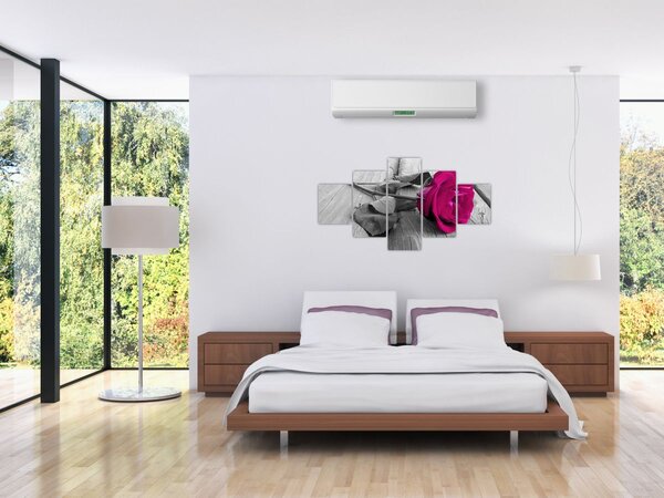 Obraz - Růžová růže (125x70 cm)