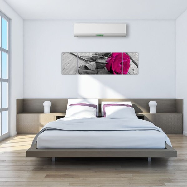 Obraz - Růžová růže (170x50 cm)