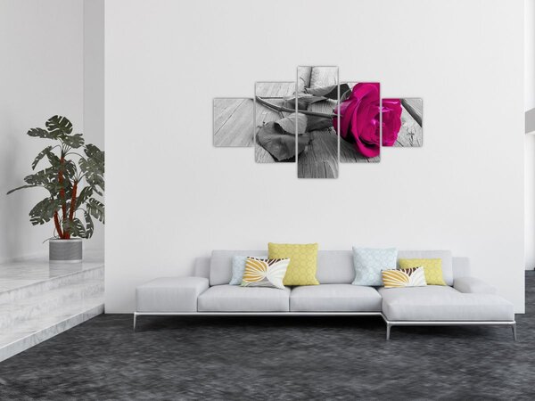 Obraz - Růžová růže (125x70 cm)