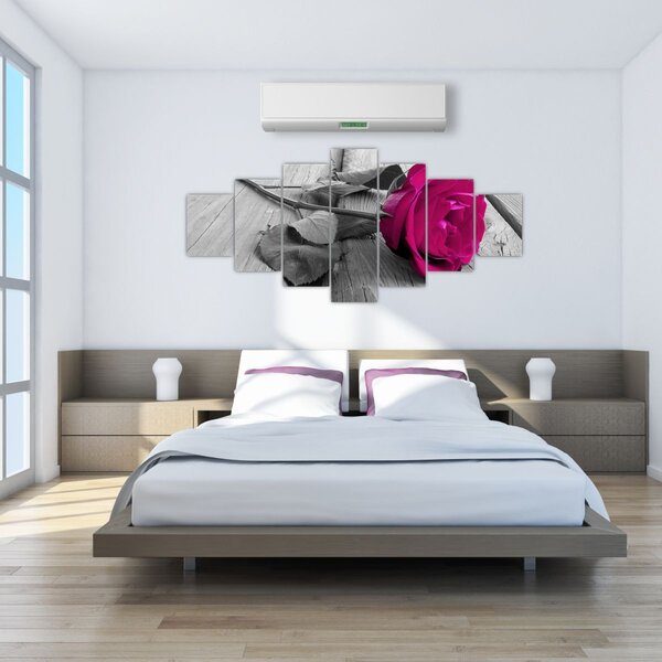 Obraz - Růžová růže (210x100 cm)