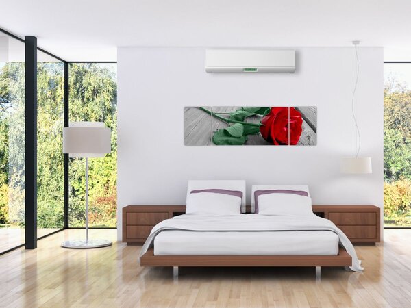 Obraz - Červená růže se zeleným stonkem (170x50 cm)