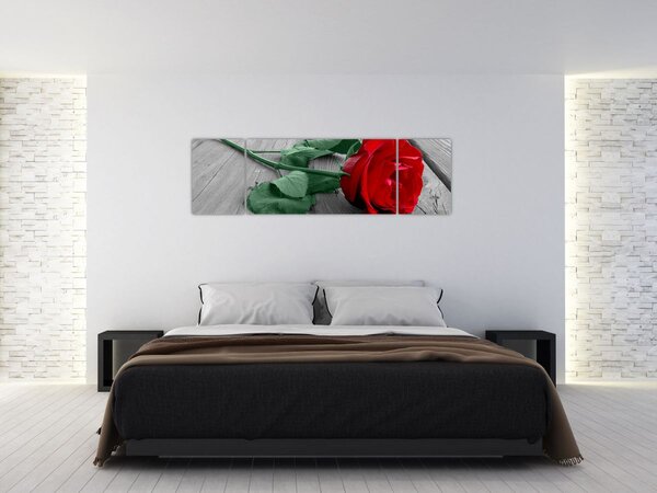 Obraz - Červená růže se zeleným stonkem (170x50 cm)