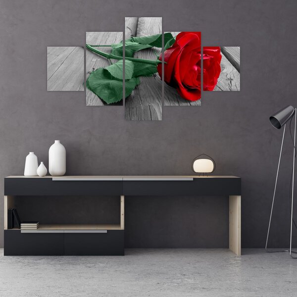 Obraz - Červená růže se zeleným stonkem (125x70 cm)