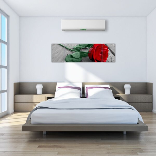 Obraz - Červená růže se zeleným stonkem (170x50 cm)
