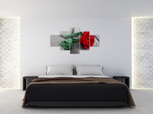 Obraz - Červená růže se zeleným stonkem (125x70 cm)