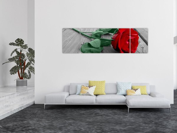 Obraz - Červená růže se zeleným stonkem (170x50 cm)