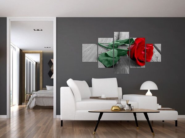 Obraz - Červená růže se zeleným stonkem (125x70 cm)