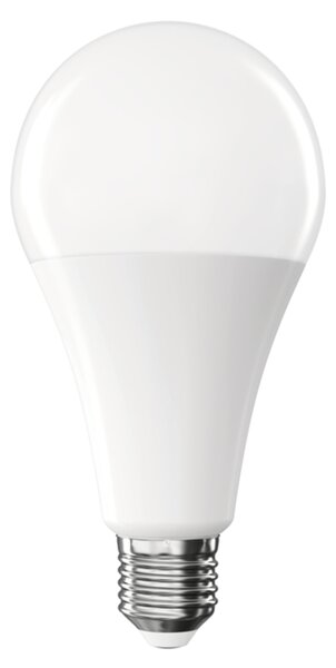LED žárovka ZQ5E83 E27, 20W, neutrální bílá