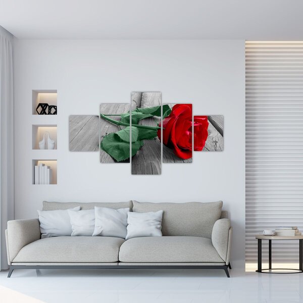 Obraz - Červená růže se zeleným stonkem (125x70 cm)