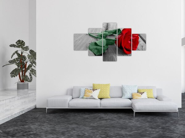 Obraz - Červená růže se zeleným stonkem (125x70 cm)
