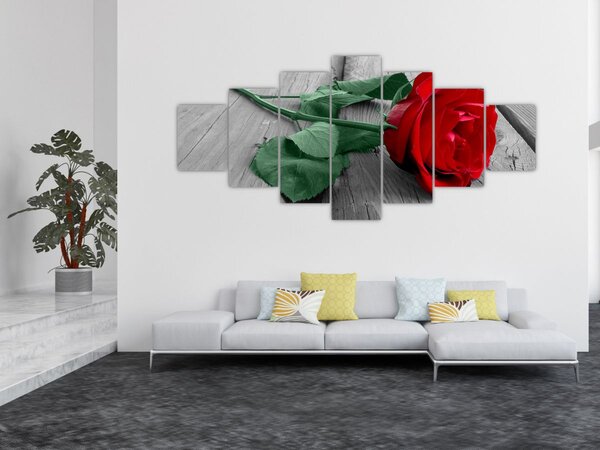 Obraz - Červená růže se zeleným stonkem (210x100 cm)