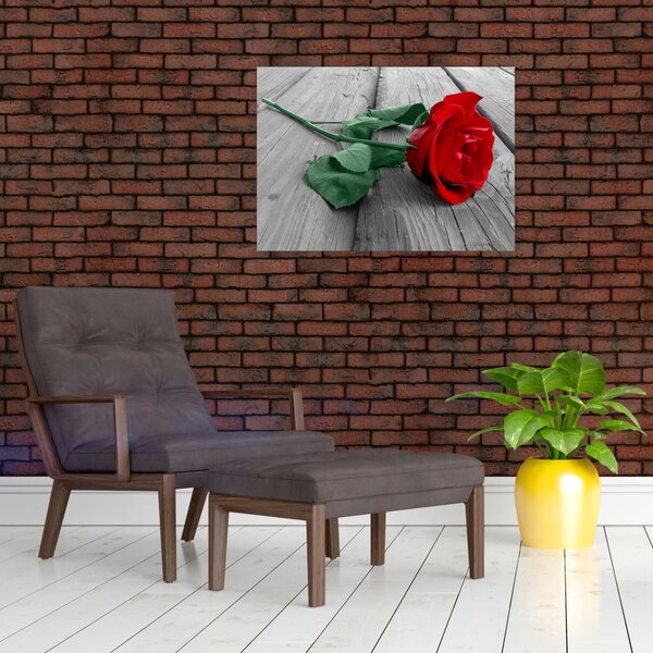 Obraz - Červená růže se zeleným stonkem (70x50 cm)