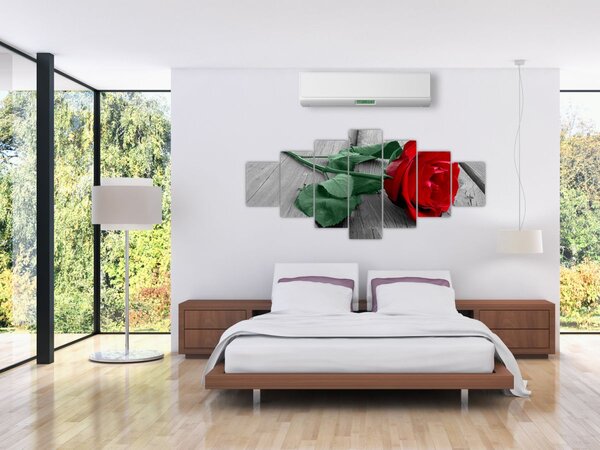 Obraz - Červená růže se zeleným stonkem (210x100 cm)
