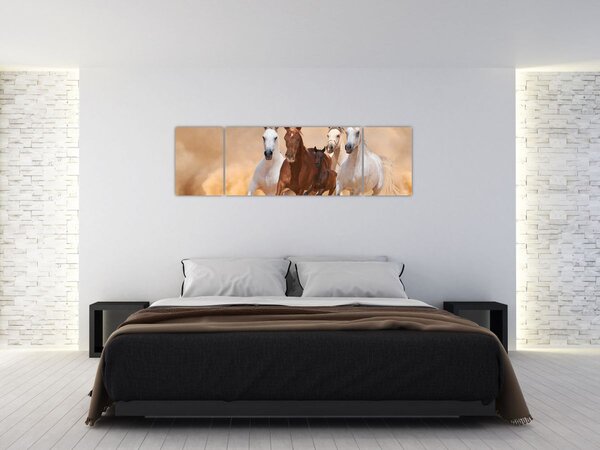 Obraz - Stádo koní (170x50 cm)