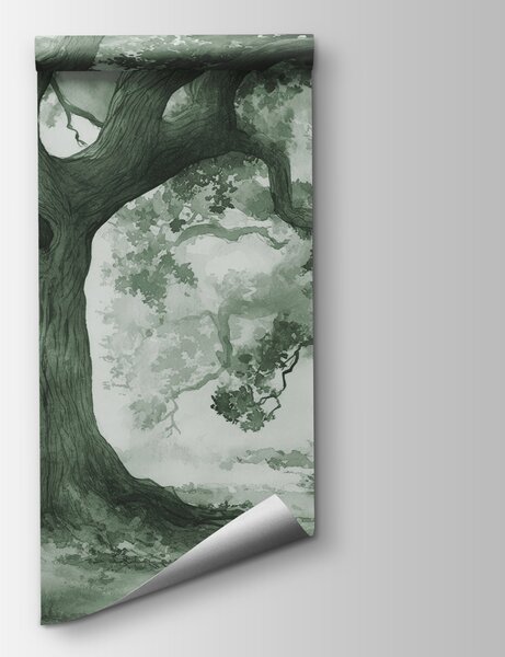 Fototapeta Skupina stromů v mlžném lese, Přírodní fototapety, Populární fototapety, w01182v3 - Tapeko.co.cz