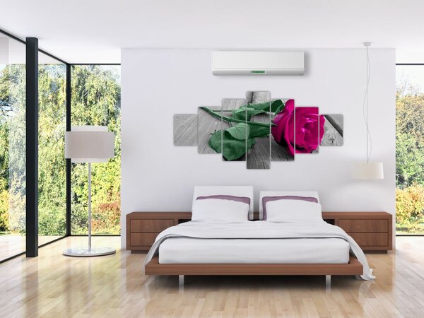 Obraz - Růžová růže se zeleným stonkem (210x100 cm)