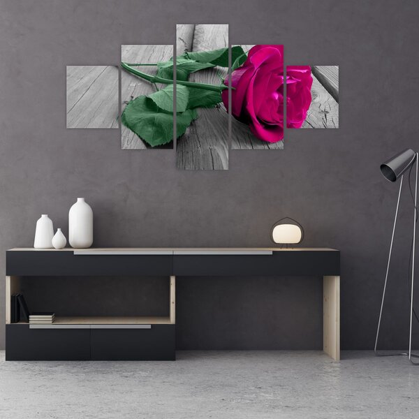 Obraz - Růžová růže se zeleným stonkem (125x70 cm)