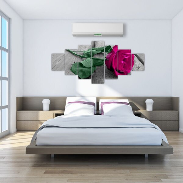 Obraz - Růžová růže se zeleným stonkem (210x100 cm)