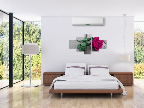 Obraz - Růžová růže se zeleným stonkem (125x70 cm)