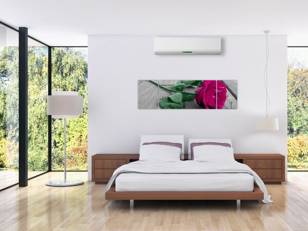 Obraz - Růžová růže se zeleným stonkem (170x50 cm)