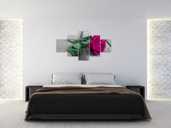 Obraz - Růžová růže se zeleným stonkem (125x70 cm)