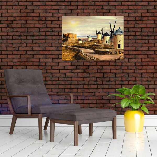 Obraz - Větrné mlýny (70x50 cm)