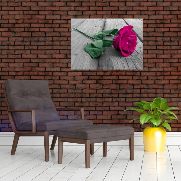 Obraz - Růžová růže se zeleným stonkem (70x50 cm)