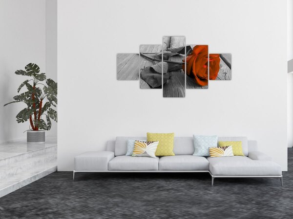 Obraz - Oranžová růže (125x70 cm)