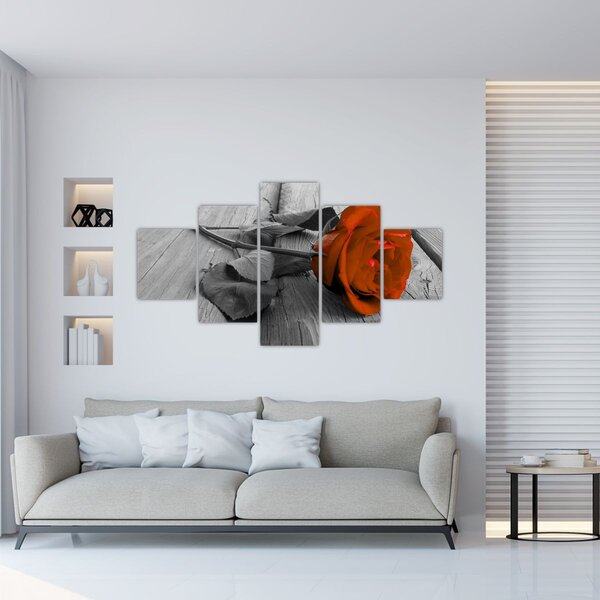 Obraz - Oranžová růže (125x70 cm)