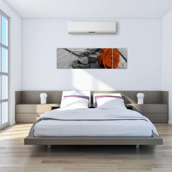 Obraz - Oranžová růže (170x50 cm)