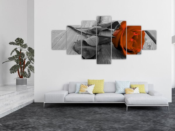 Obraz - Oranžová růže (210x100 cm)