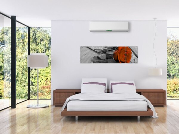 Obraz - Oranžová růže (170x50 cm)