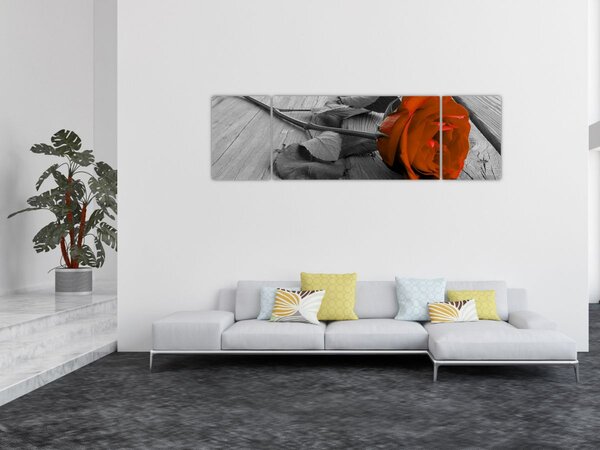 Obraz - Oranžová růže (170x50 cm)