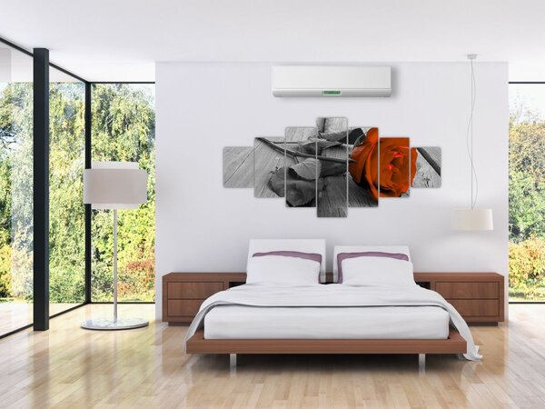 Obraz - Oranžová růže (210x100 cm)