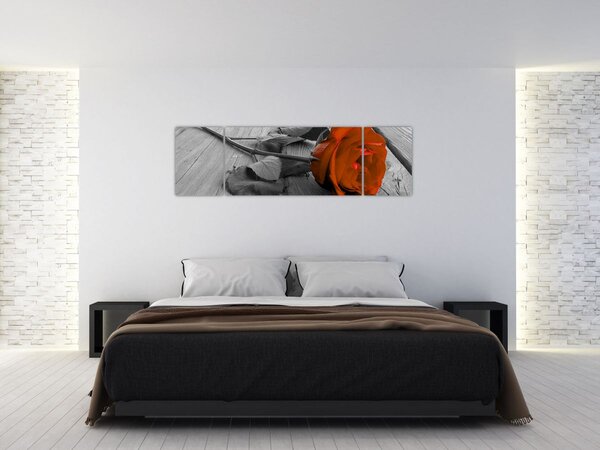 Obraz - Oranžová růže (170x50 cm)