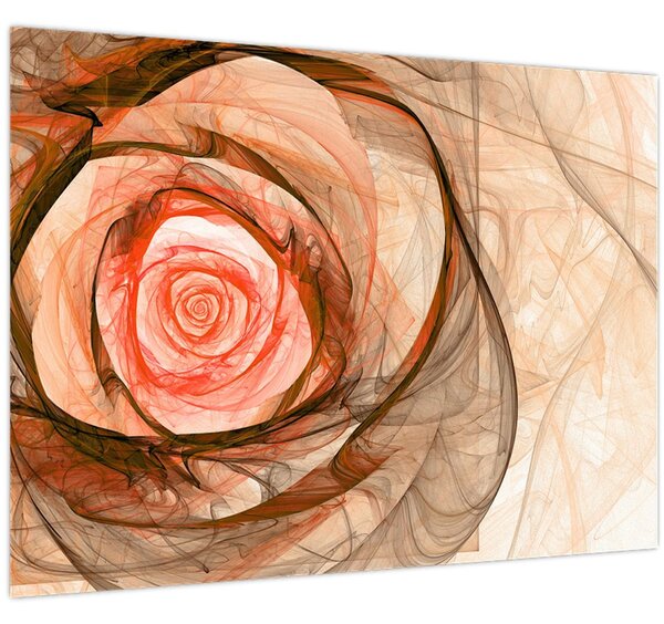Obraz - Abstraktní růže růžová s bílým pozadím (70x50 cm)