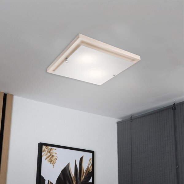 Stropní svítidlo 1xE27/60W/230V