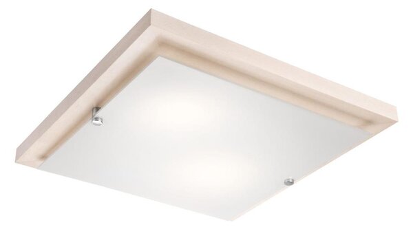 Stropní svítidlo 1xE27/60W/230V